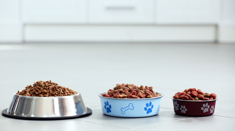 Großer Hundesnack Test: So erkennst du die Goldstücke