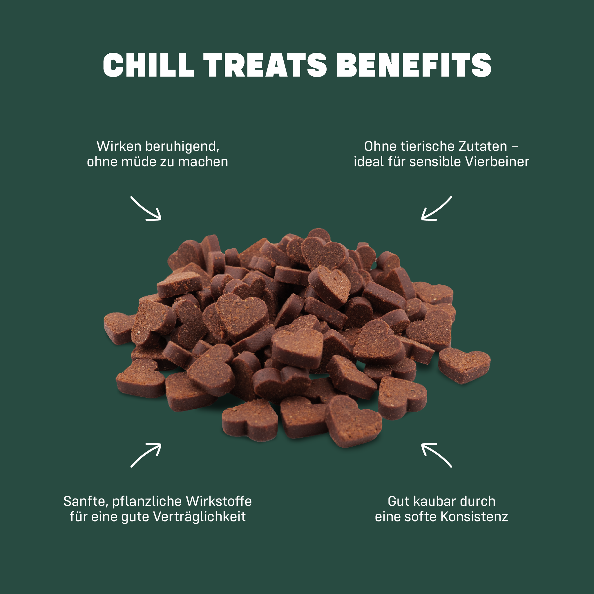 Chill Treats Benefits in Textform um einen Haufen Leckerlies herum angeordnet