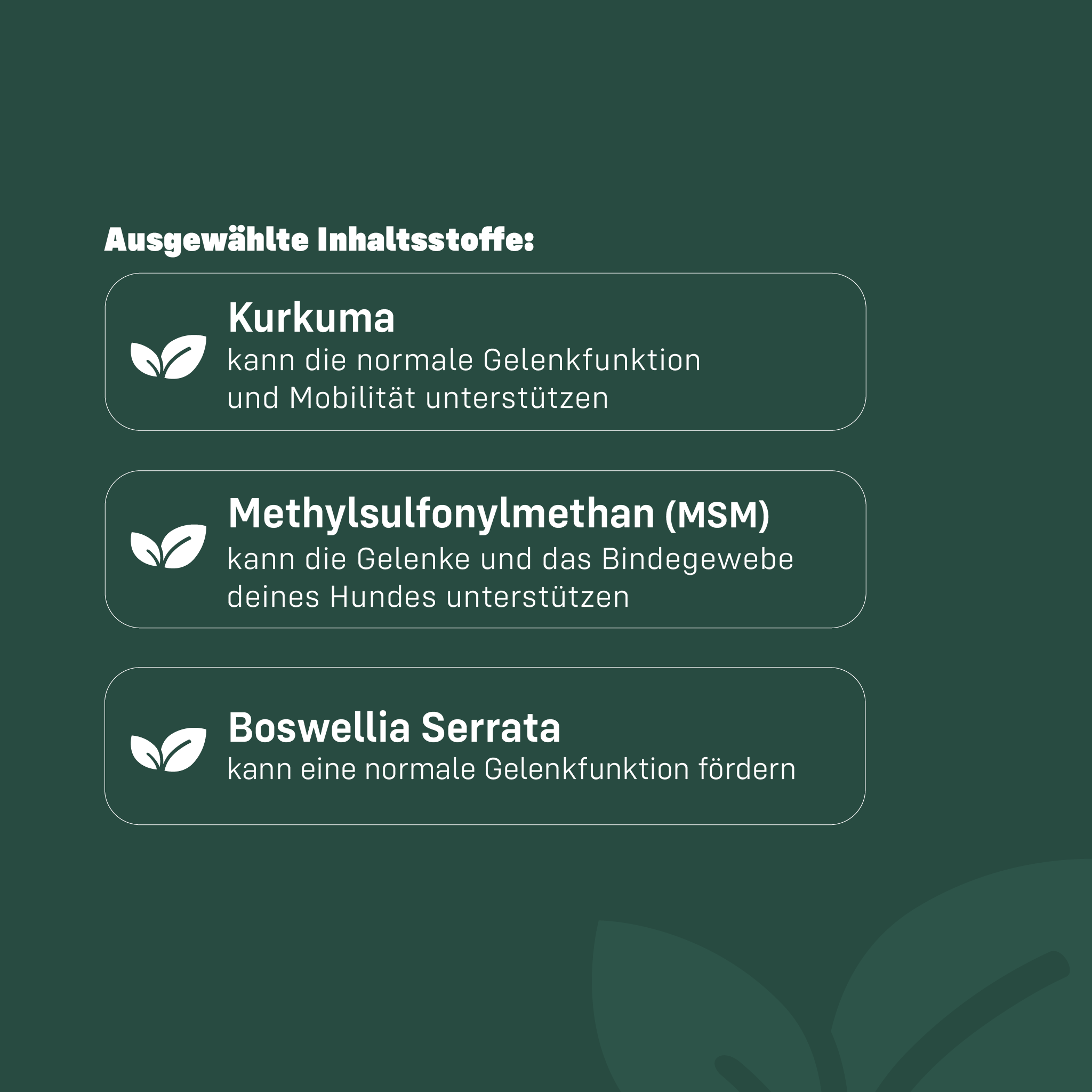 Ausgewählte Inhaltsstoffe der Liebs Mobility Treats kurz erklärt