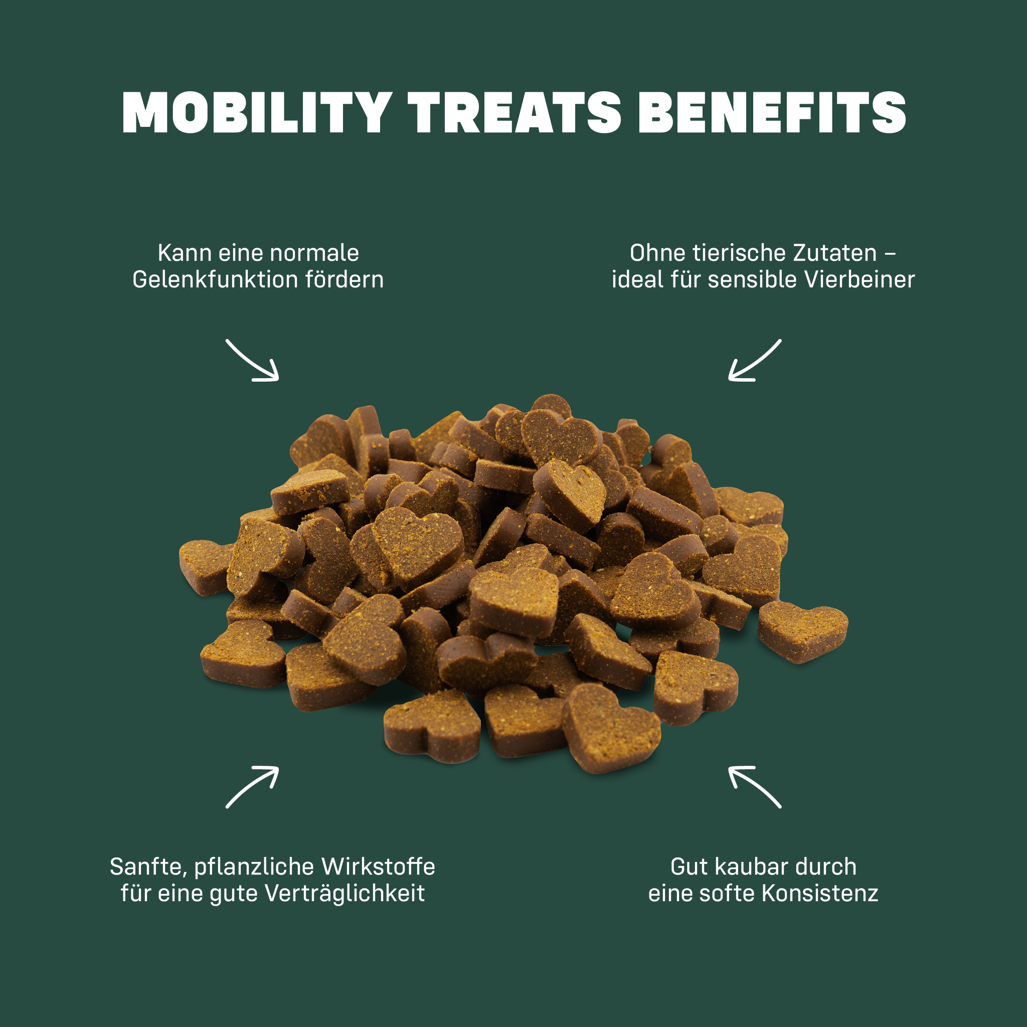 Mobility Treats Benefits in Textform um einen Haufen Leckerlies herum angeordnet