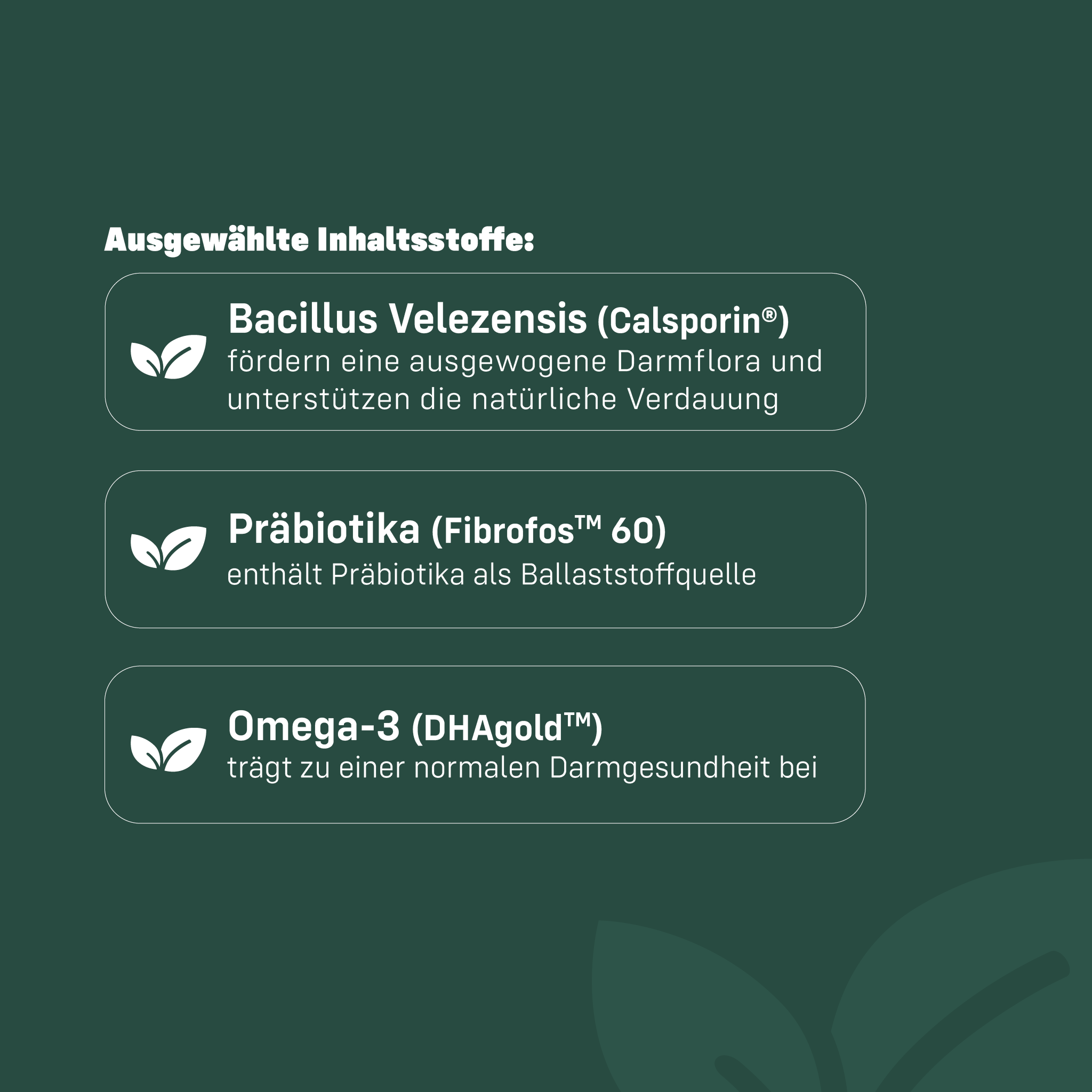 Ausgewählte Inhaltsstoffe der Liebs Tummy Treats kurz erklärt