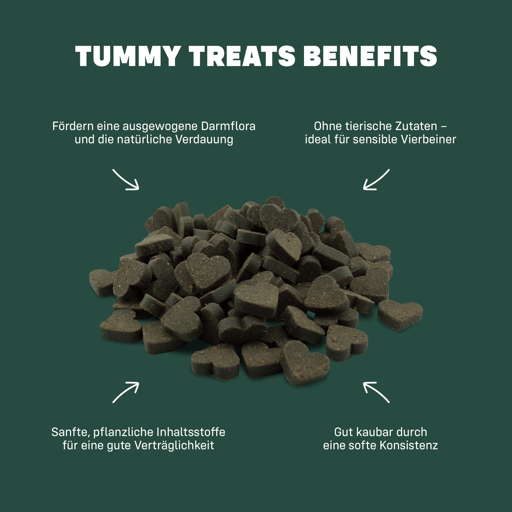 Tummy Treats Benefits in Textform um einen Haufen Leckerlies herum angeordnet