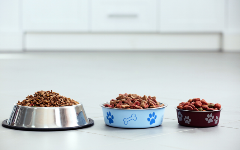 Großer Hundesnack Test: So erkennst du die Goldstücke