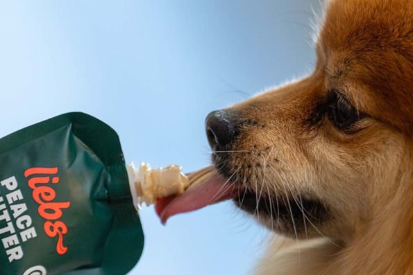 Kleiner Hund leckt Peace Butter direkt aus der Tüte