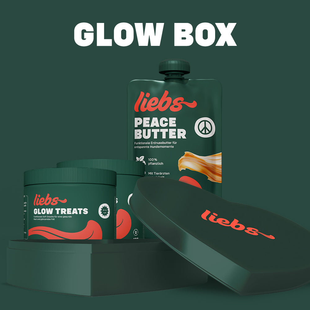 geschenkbox-glow