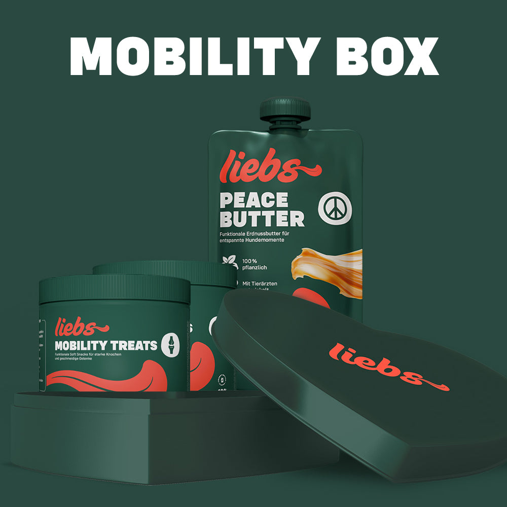 geschenkbox-mobility
