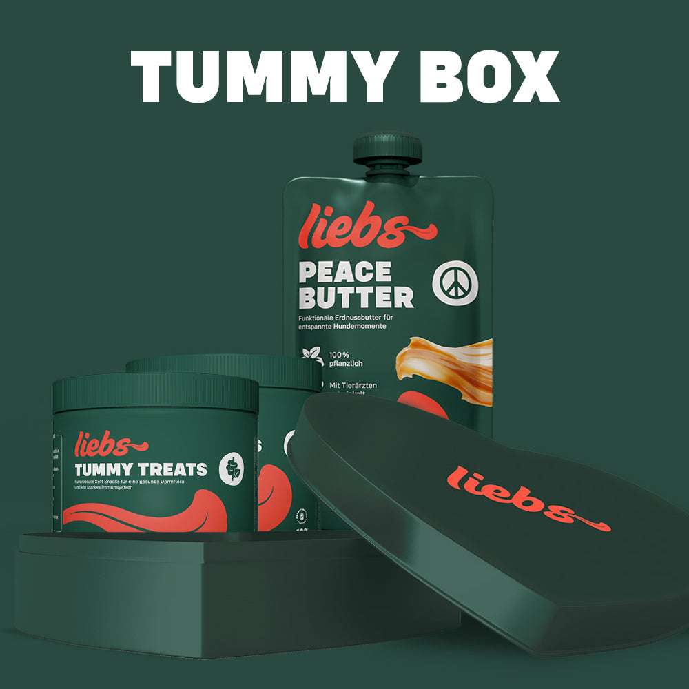 geschenkbox-tummy