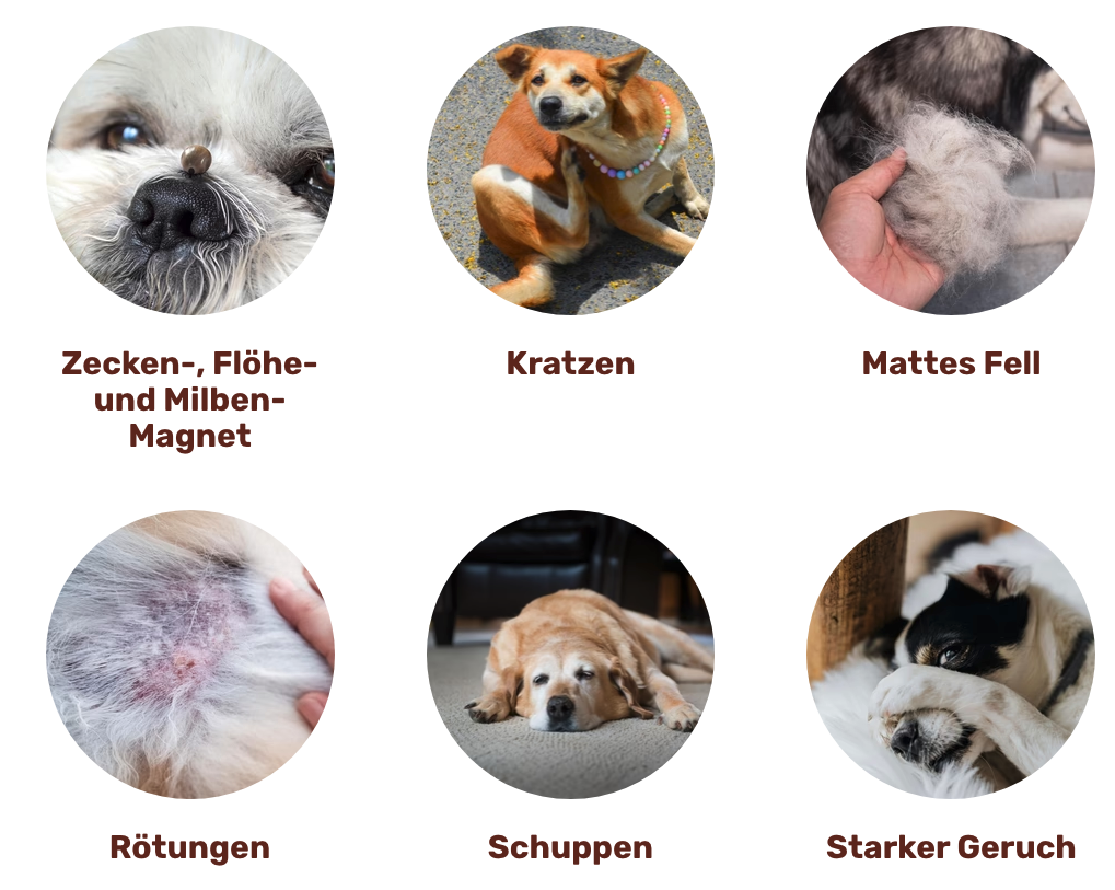 ld mof kacheln